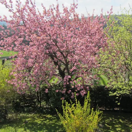 Casa de hóspedes Maria Wallner 3*